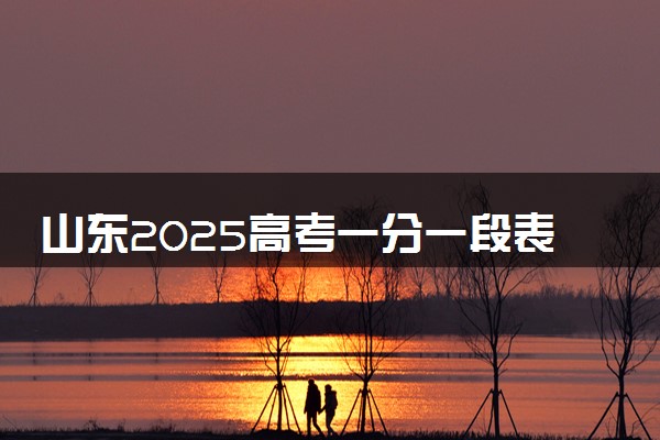 山东2025高考一分一段表 附位次排名对应大学
