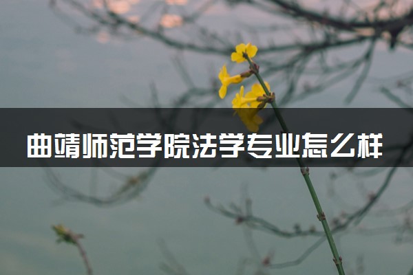 曲靖师范学院法学专业怎么样 录取分数线多少