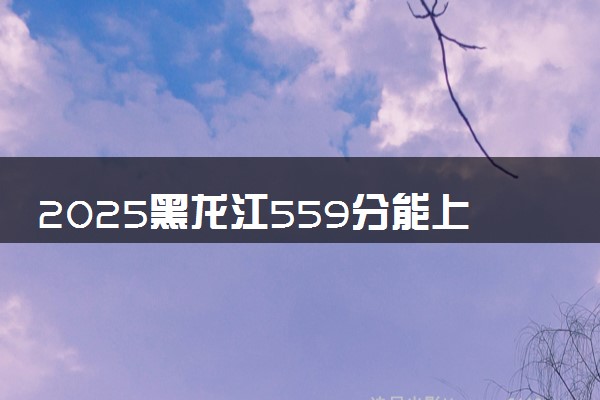 2025黑龙江559分能上的大学有哪些 可以报考院校名单