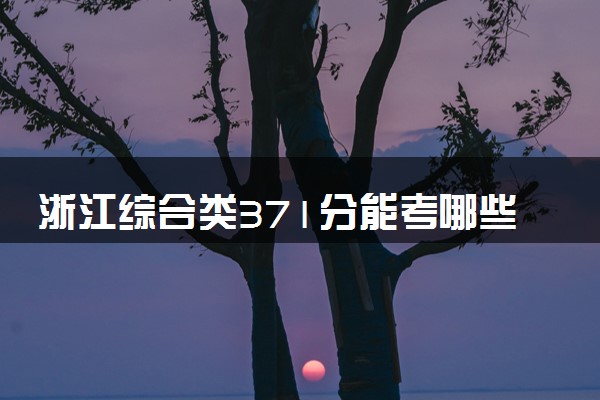 浙江综合类371分能考哪些大学 2025考生稳上的大学名单