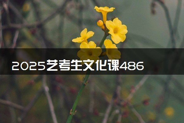 2025艺考生文化课486分能上四川传媒学院吗