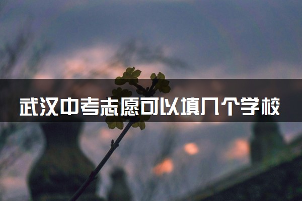 武汉中考志愿可以填几个学校