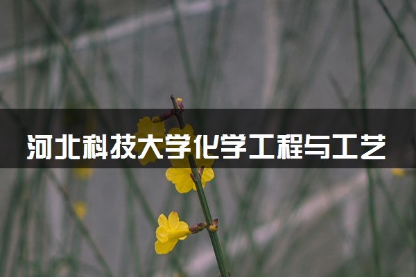 河北科技大学化学工程与工艺专业怎么样 录取分数线多少
