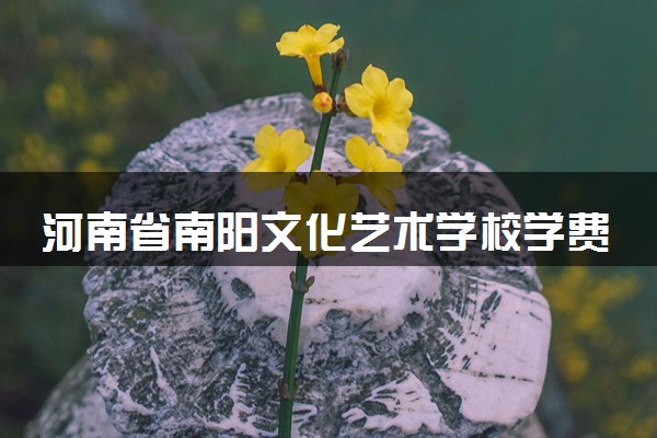 河南省南阳文化艺术学校学费多少钱及专业收费标准