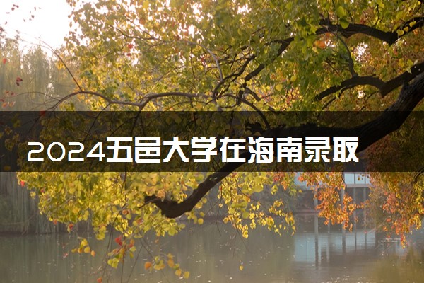 2024五邑大学在海南录取分数线 各专业分数及位次