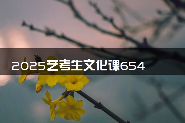 2025艺考生文化课654分能上郑州大学吗