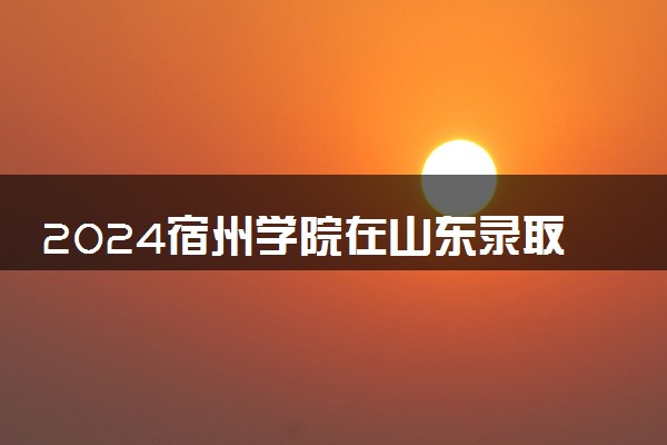 2024宿州学院在山东录取分数线 各专业分数及位次