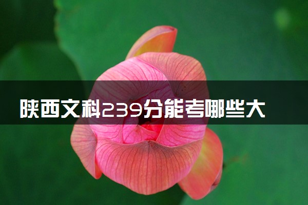 陕西文科239分能考哪些大学 2025考生稳上的大学名单