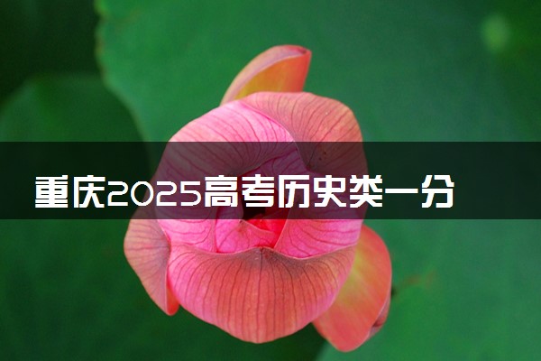重庆2025高考历史类一分一段表 附位次排名对应大学