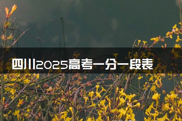 四川2025高考一分一段表 附位次排名对应大学