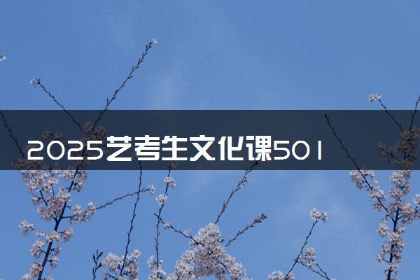2025艺考生文化课501分能上鲁东大学吗