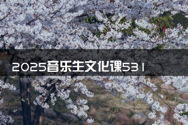 2025音乐生文化课531分能上湖南科技大学吗