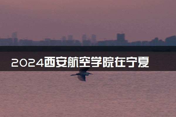 2024西安航空学院在宁夏录取分数线 各专业分数及位次
