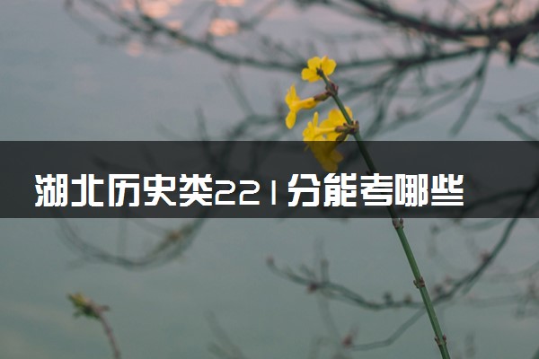 湖北历史类221分能考哪些大学 2025考生稳上的大学名单