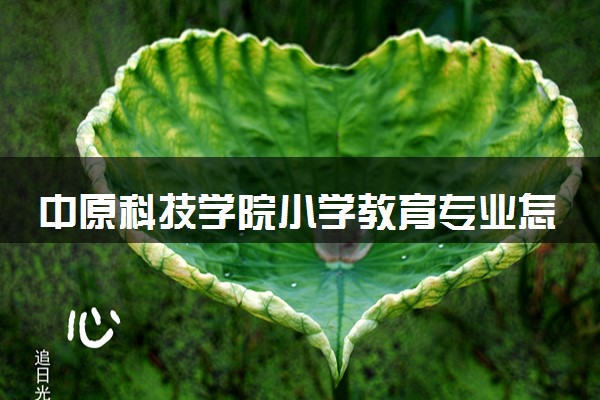 中原科技学院小学教育专业怎么样 录取分数线多少