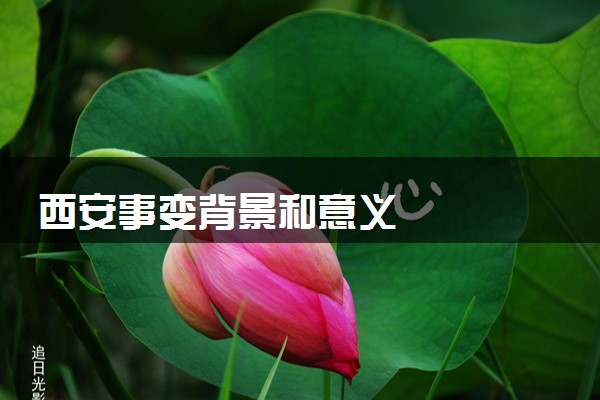 西安事变背景和意义