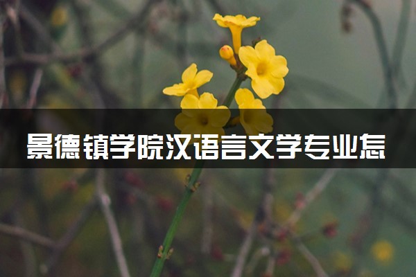 景德镇学院汉语言文学专业怎么样 录取分数线多少