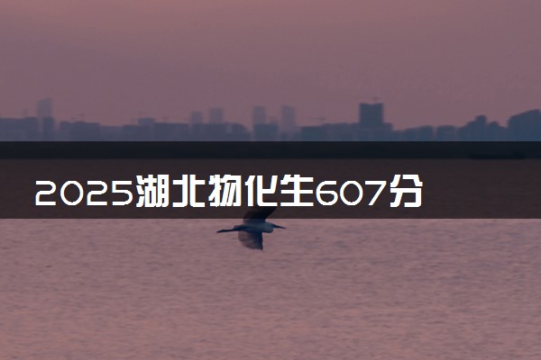 2025湖北物化生607分左右能上什么大学 可以报考的院校名单