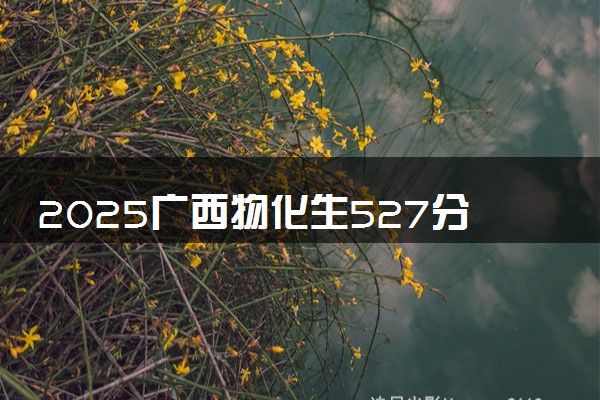 2025广西物化生527分左右能上什么大学 可以报考的院校名单