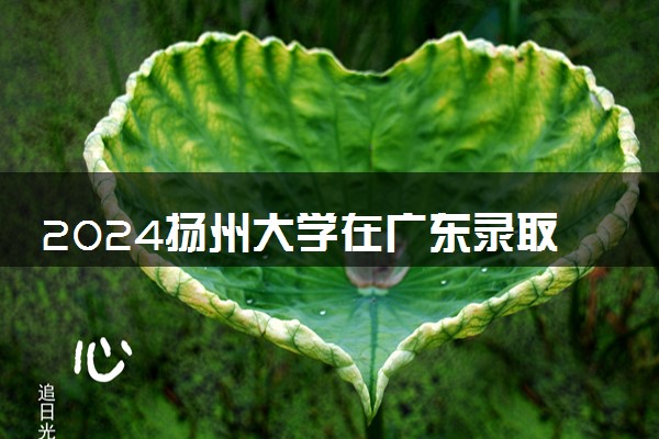 2024扬州大学在广东录取分数线 各专业分数及位次