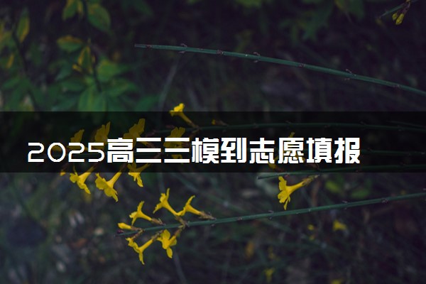 2025高三三模到志愿填报三步锁定目标院校 方法推荐