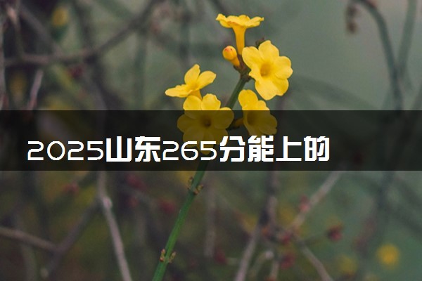 2025山东265分能上的大学有哪些 可以报考院校名单
