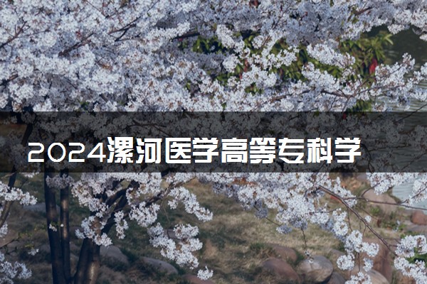 2024漯河医学高等专科学校在内蒙古录取分数线 各专业分数及位次