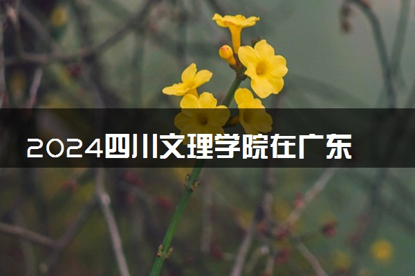 2024四川文理学院在广东录取分数线 各专业分数及位次