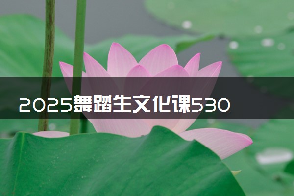 2025舞蹈生文化课530分能上中国劳动关系学院吗