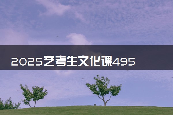 2025艺考生文化课495分能上甘肃民族师范学院吗