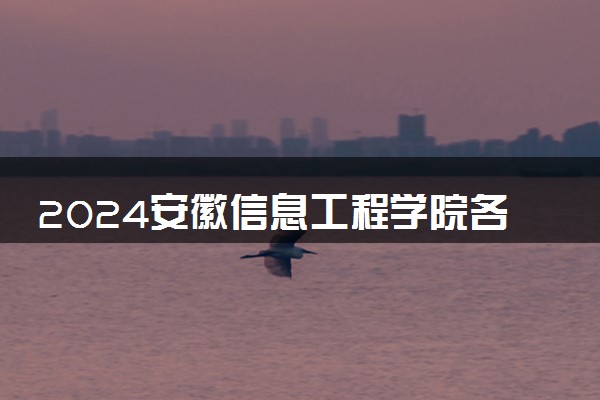 2024安徽信息工程学院各省录取分数线是多少 最低分及位次