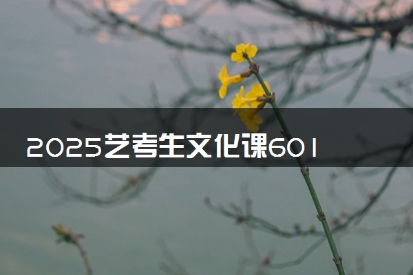 2025艺考生文化课601分能上深圳大学吗