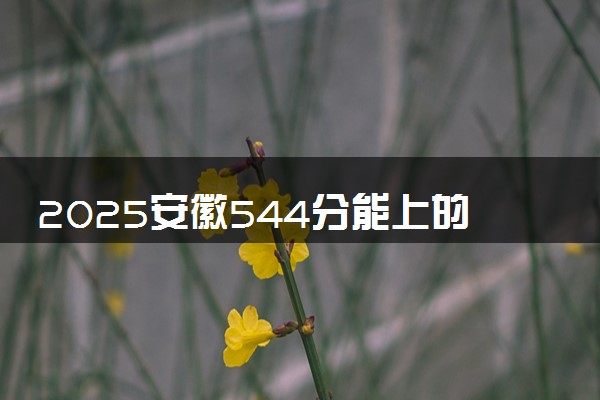 2025安徽544分能上的大学有哪些 可以报考院校名单