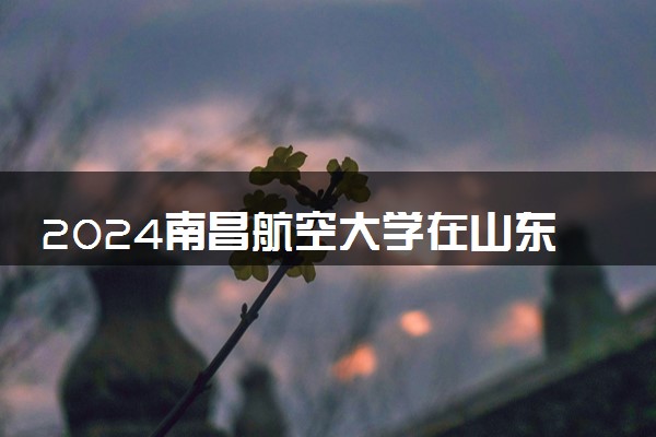 2024南昌航空大学在山东录取分数线 各专业分数及位次
