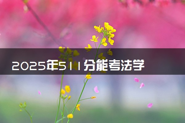 2025年511分能考法学专业吗 511分法学专业大学推荐