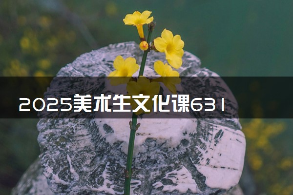 2025美术生文化课631分能上兰州大学吗