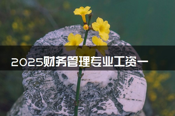 2025财务管理专业工资一般多少 好找工作吗