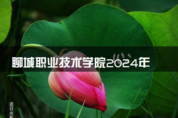 聊城职业技术学院2024年各省录取分数线 多少分能考上