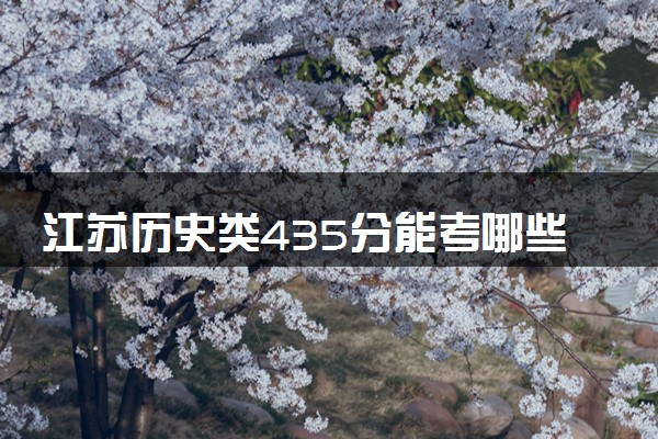 江苏历史类435分能考哪些大学 2025考生稳上的大学名单