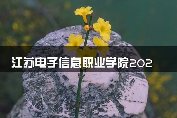 江苏电子信息职业学院2024各省录取分数线及最低位次是多少