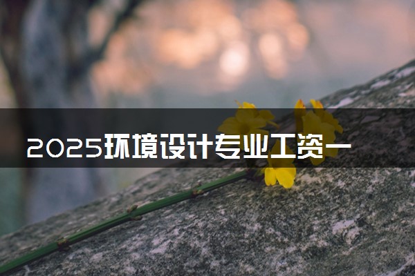 2025环境设计专业工资一般多少 好找工作吗