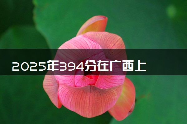 2025年394分在广西上什么大学好 近三年录取分数线是多少