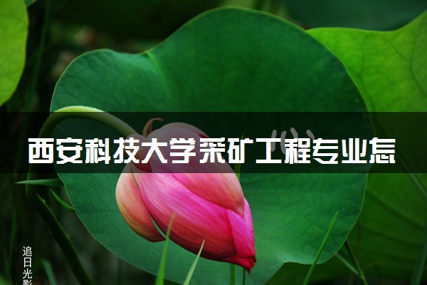 西安科技大学采矿工程专业怎么样 录取分数线多少
