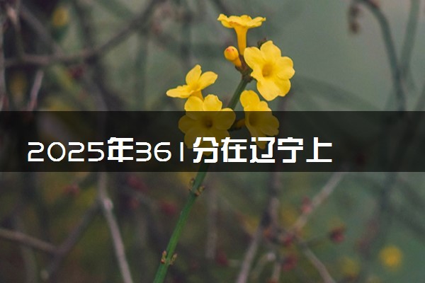 2025年361分在辽宁上什么大学好 近三年录取分数线是多少