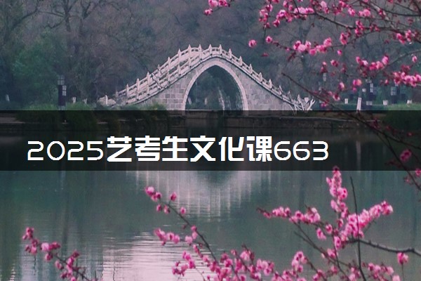 2025艺考生文化课663分能上湖南师范大学吗