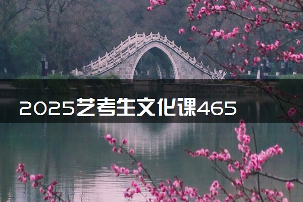 2025艺考生文化课465分能上西南科技大学吗