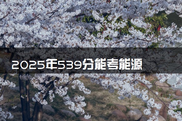 2025年539分能考能源化学工程专业吗 539分能源化学工程专业大学推荐