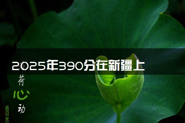 2025年390分在新疆上什么大学好 近三年录取分数线是多少