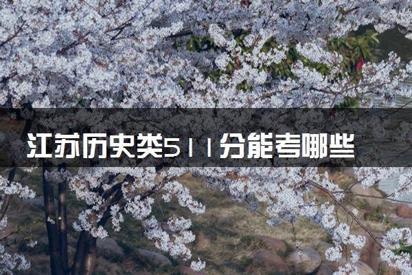 江苏历史类511分能考哪些大学 2025考生稳上的大学名单