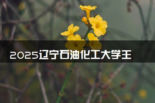 2025辽宁石油化工大学王牌专业有哪些 最好的专业是什么